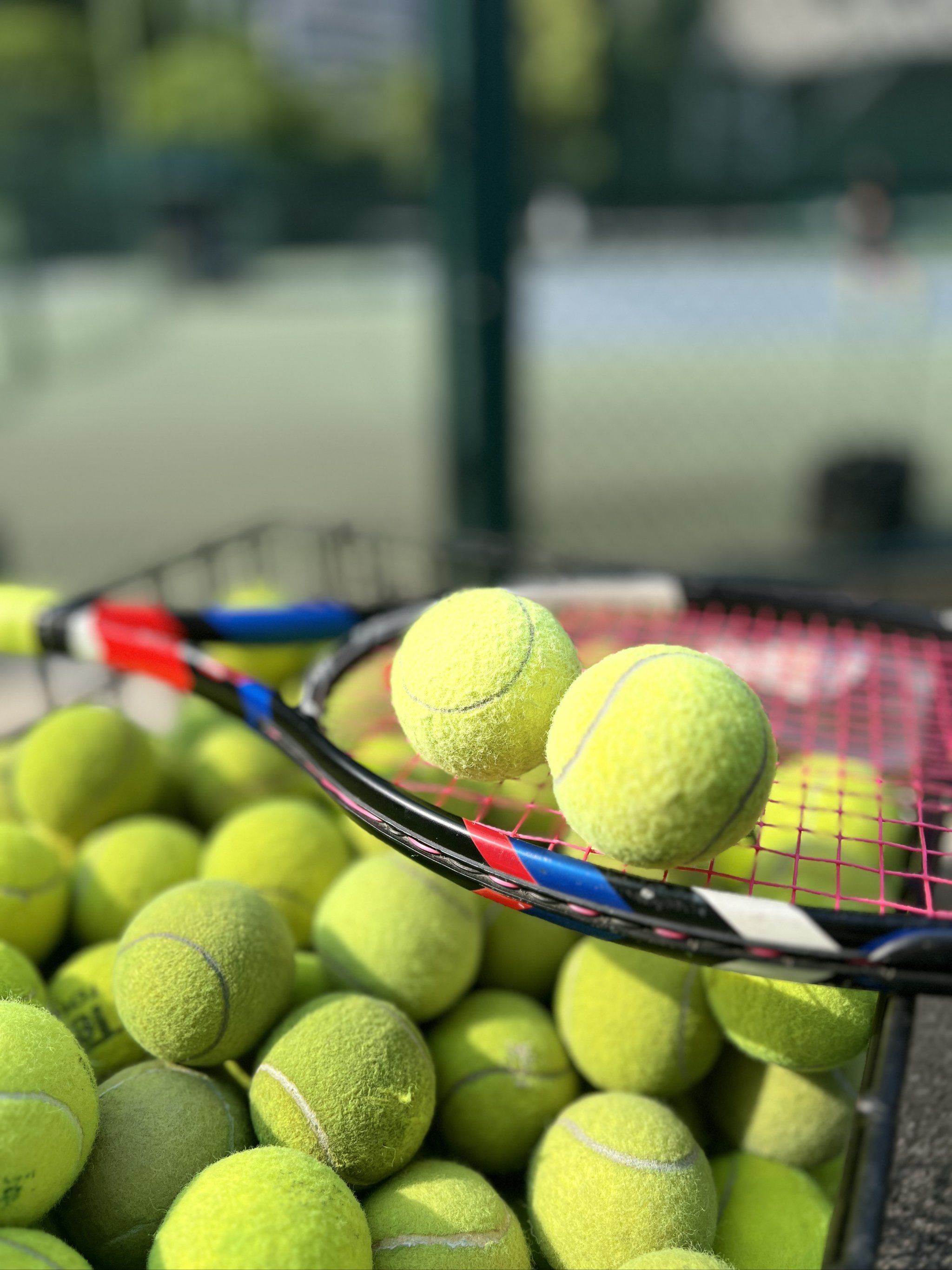 幕令全球泳 幕令全球泳